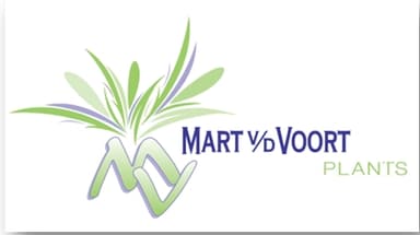 Mart v/d Voort plants